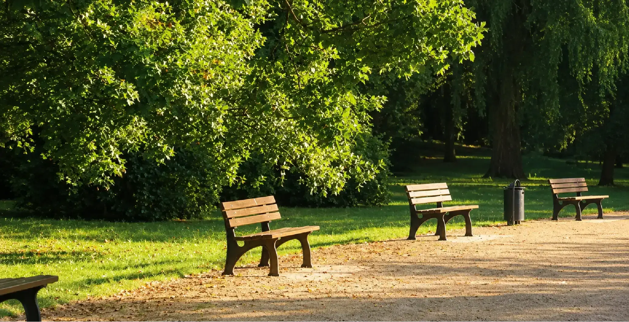 Central Park